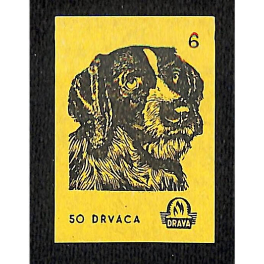 Vintage Yugoslavia Matchbox Label Dravga Dog Breed Series #6 VGC c1960's