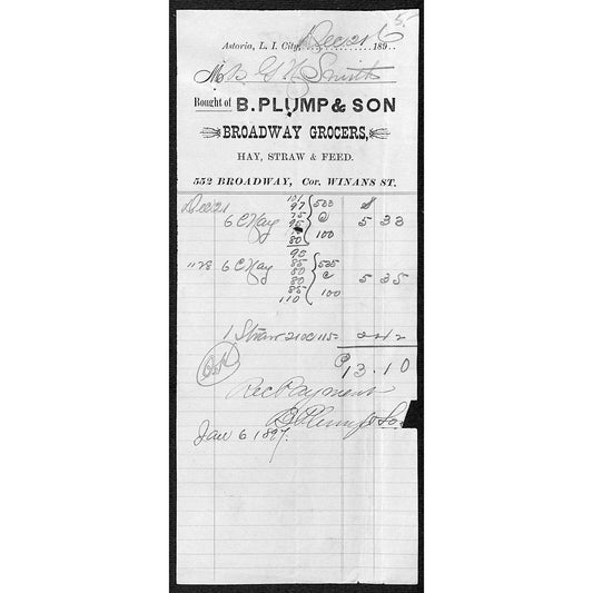 Astoria, L.I City NY B, Plump & Son "Broadway Grocers" Hay Straw 1896 Billhead