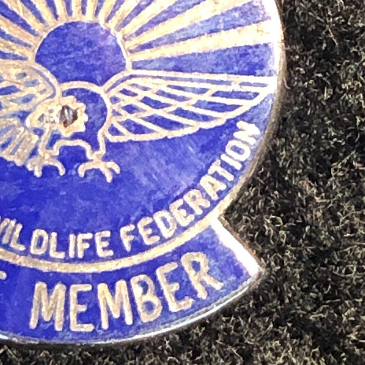 National Wildlife Federation Lifetime Enameled Pinback Lapel Eagle - Sterling