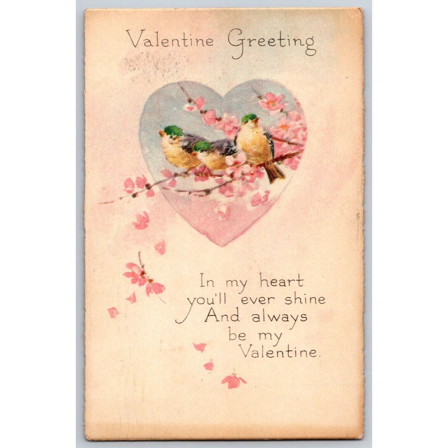 Valentine's Day Postcard Pair of Love Birds In Tree PM 1921