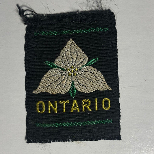 BSA? Ontario Vintage Embroidered Patch c1960's-70's