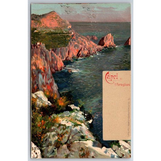 Italian Postcard Capri Rock Cliffs Sea Shoreline Seagulls c1901-1907