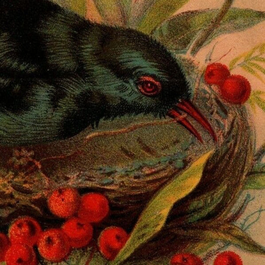 Alden Fruit Vinegar J. H. Wade - Richmond, VA Bird Large Victorian Trade Card