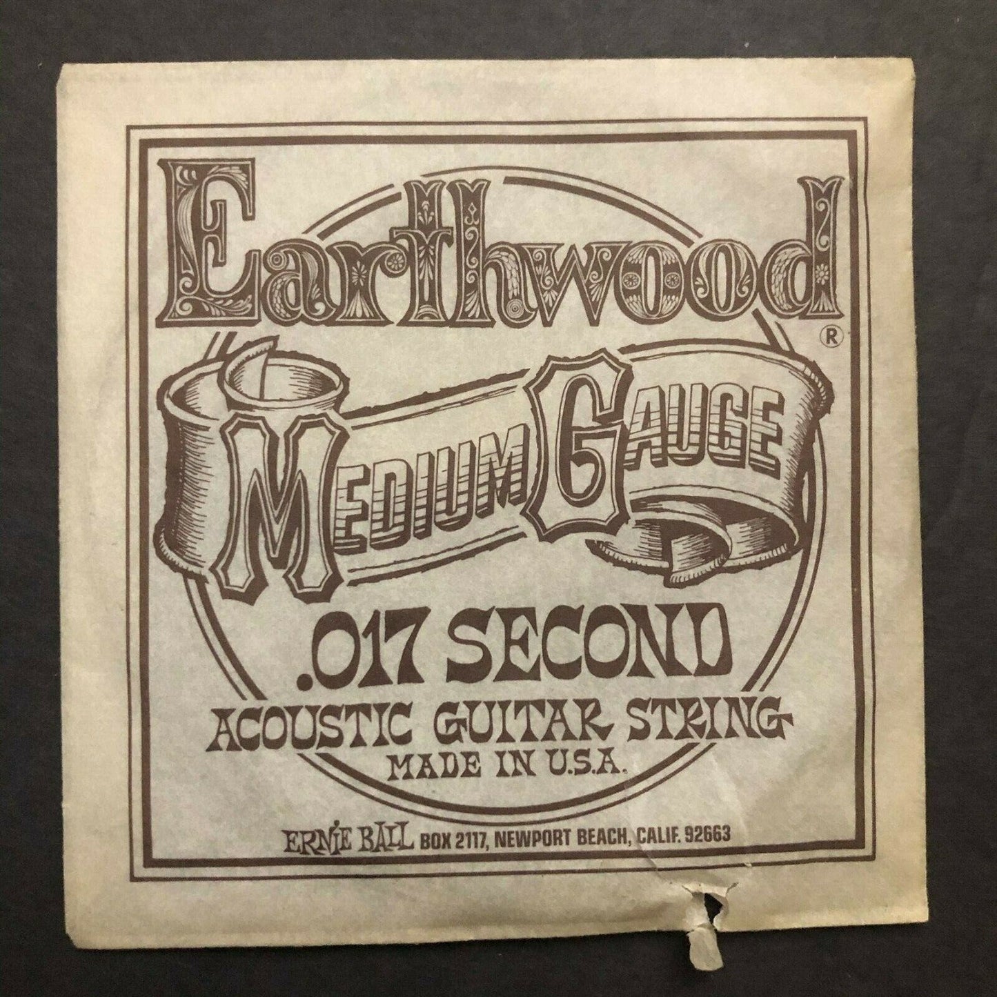 Vintage Ernie Ball Earthwood Medium Gauge .017 Second Acoustic Guitar String