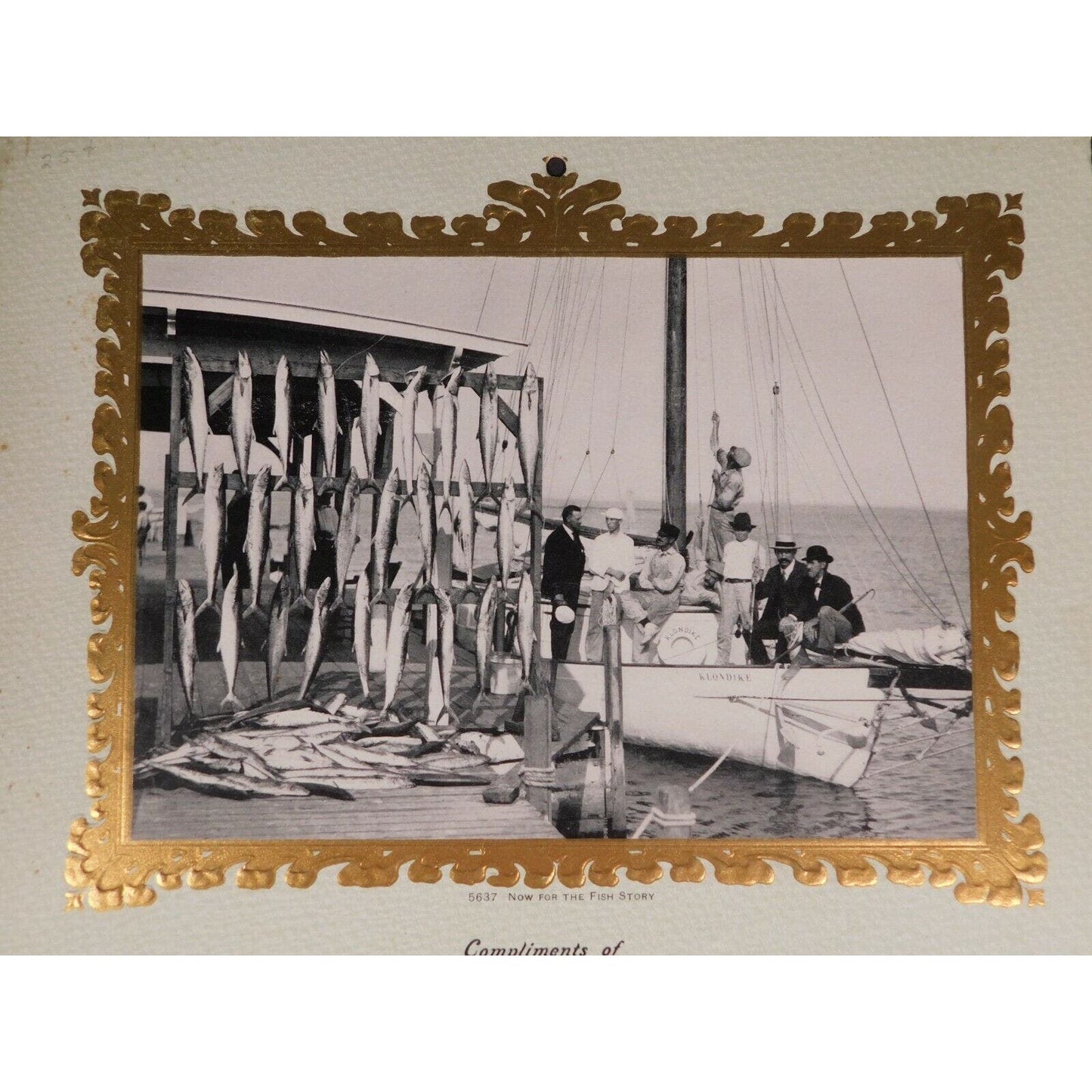 F. H. Martin 1905 Calendar "Meats Of All Kinds" Real Photo Williamstown Vermont