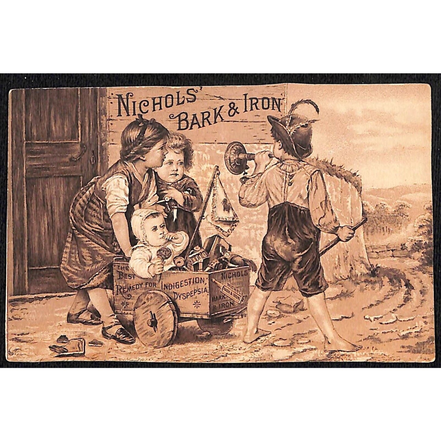 Nichol's Bark and Iron Remedy Victorian Trade Card Billings Clapp Kids Play Cart