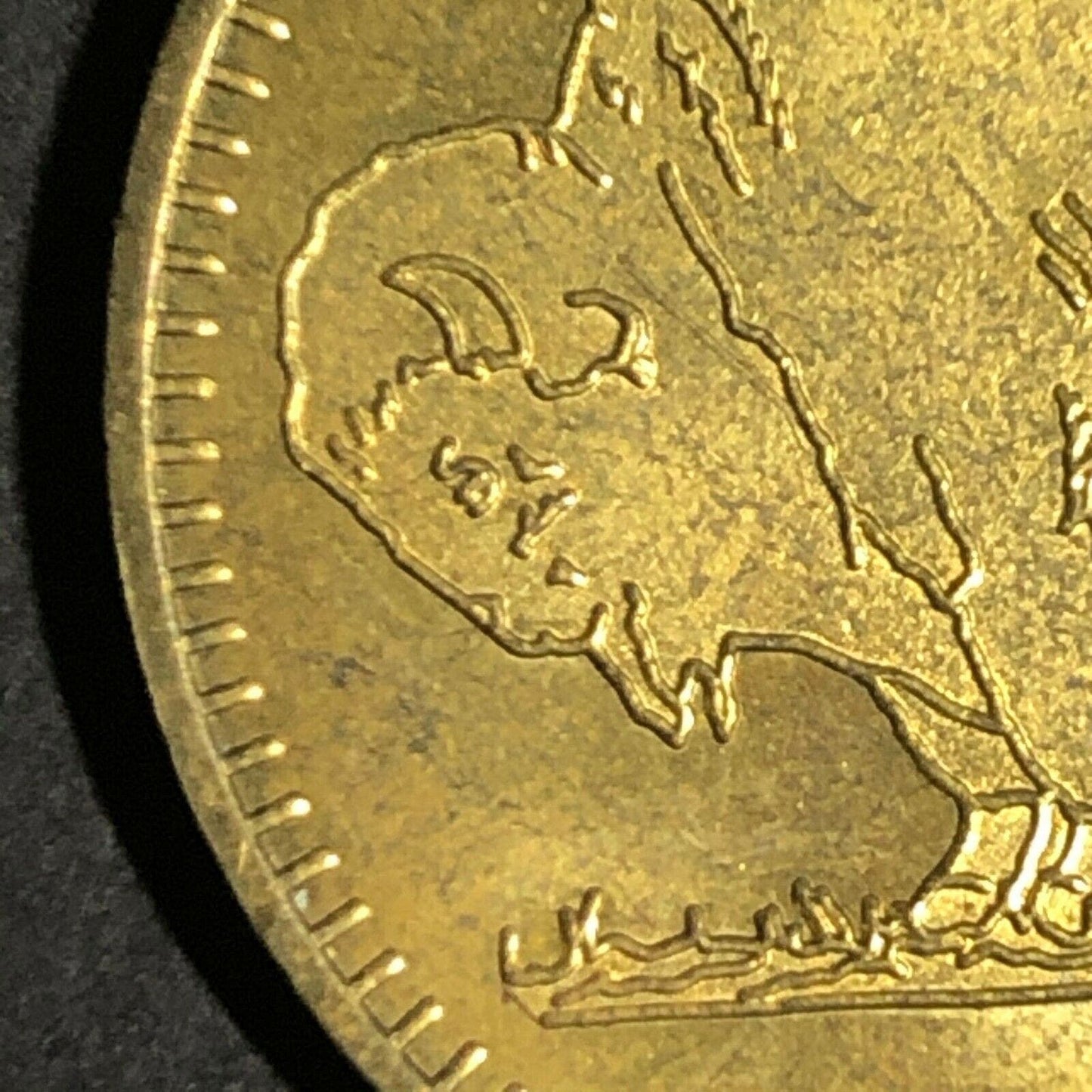 Early 1990's 28.5mm Brass Buffalo Trading Company Orlando, FA Advertising Token