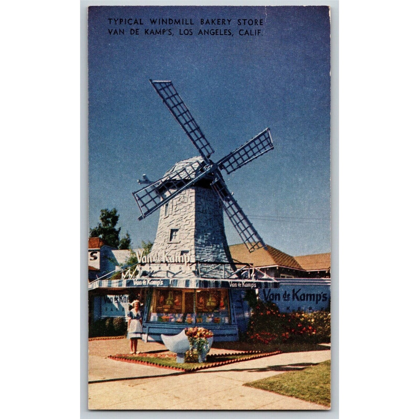 Scarce Postcard Typical Windmill Bakery Van De Kamp's Los Angeles c1920's-30's