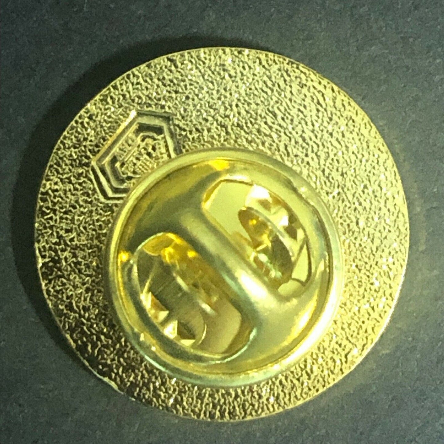Official NASA "Combined Federal Campaign" Enamel Lapel Pin