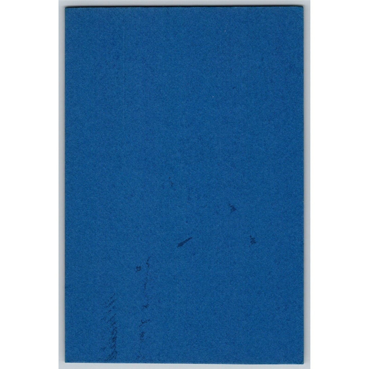 Taj Mahal India Noel Leaver Ink Blotter c1950's-60's