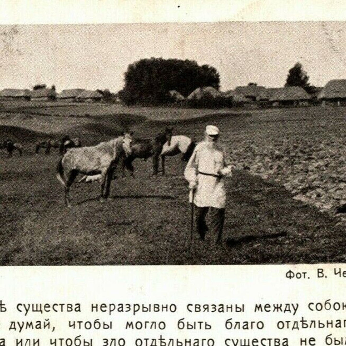c1911 Vintage Russian RPPC* Postcard Leo Tolstoy All Creatures are inextricably