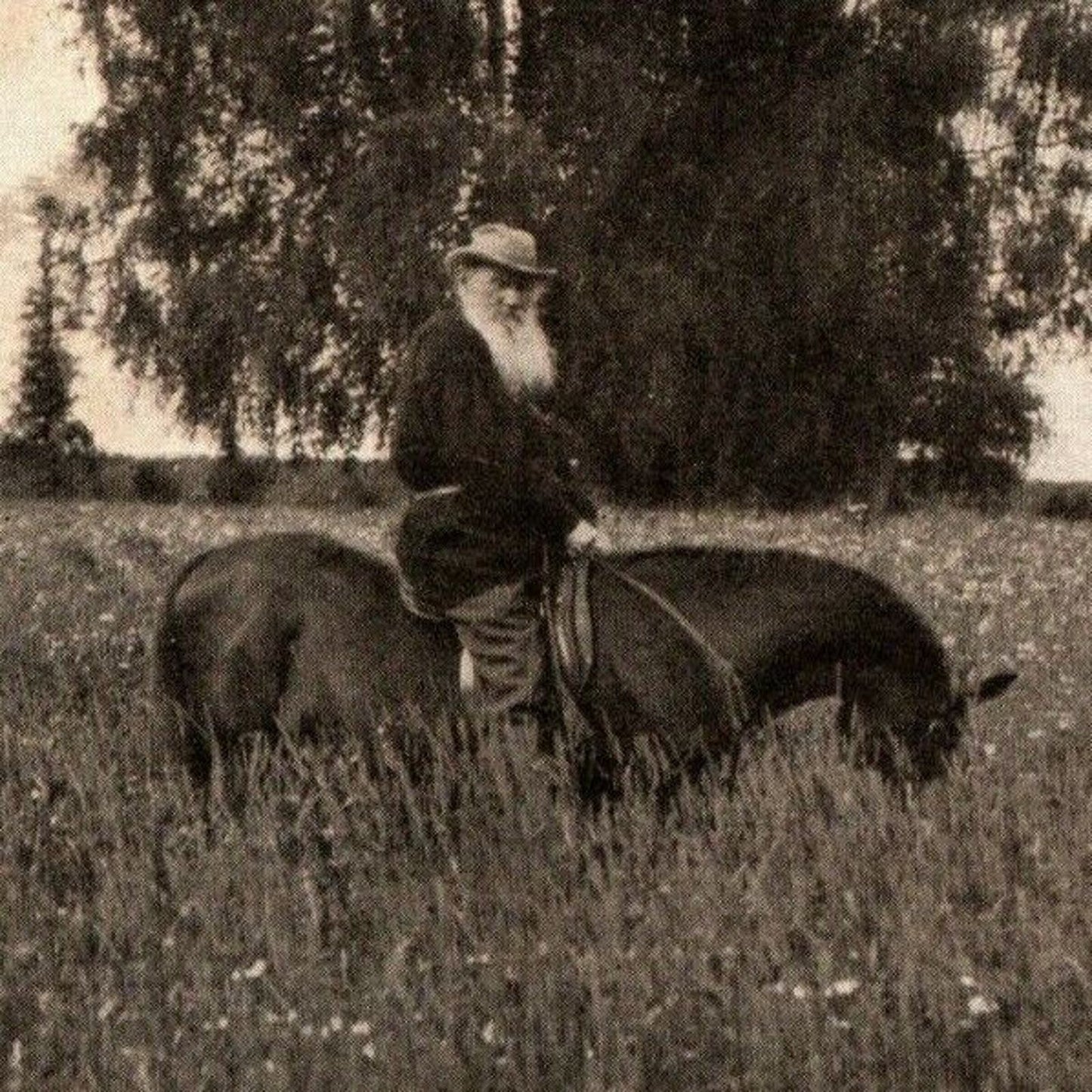 c1911 Vintage Russian Art Postcard Tolstoy "Earth, Like the Air and The Sun..."