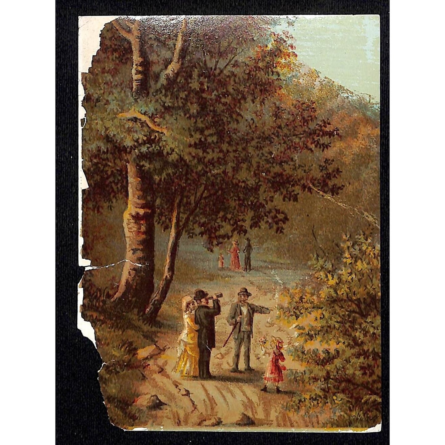F.W. Wurzburg (Dept. Store Grand Rapids, MI) Victorian Trade Card Bird Watching