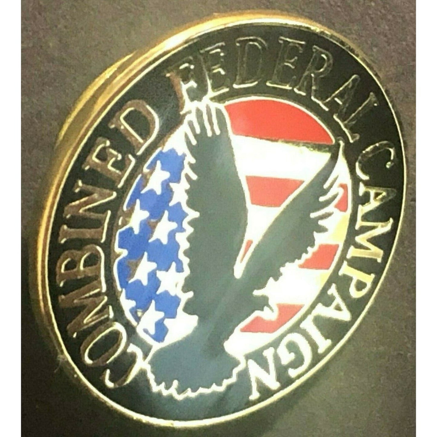 Official NASA "Combined Federal Campaign" Enamel Lapel Pin
