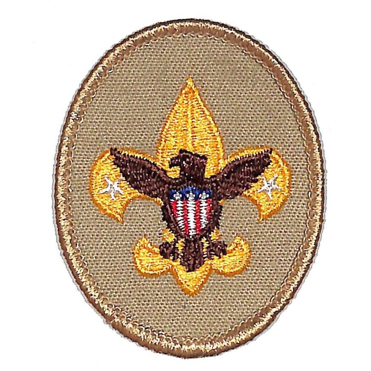 BSA Vintage Eagle Patch Oval 2" x 2 1/2" NOS
