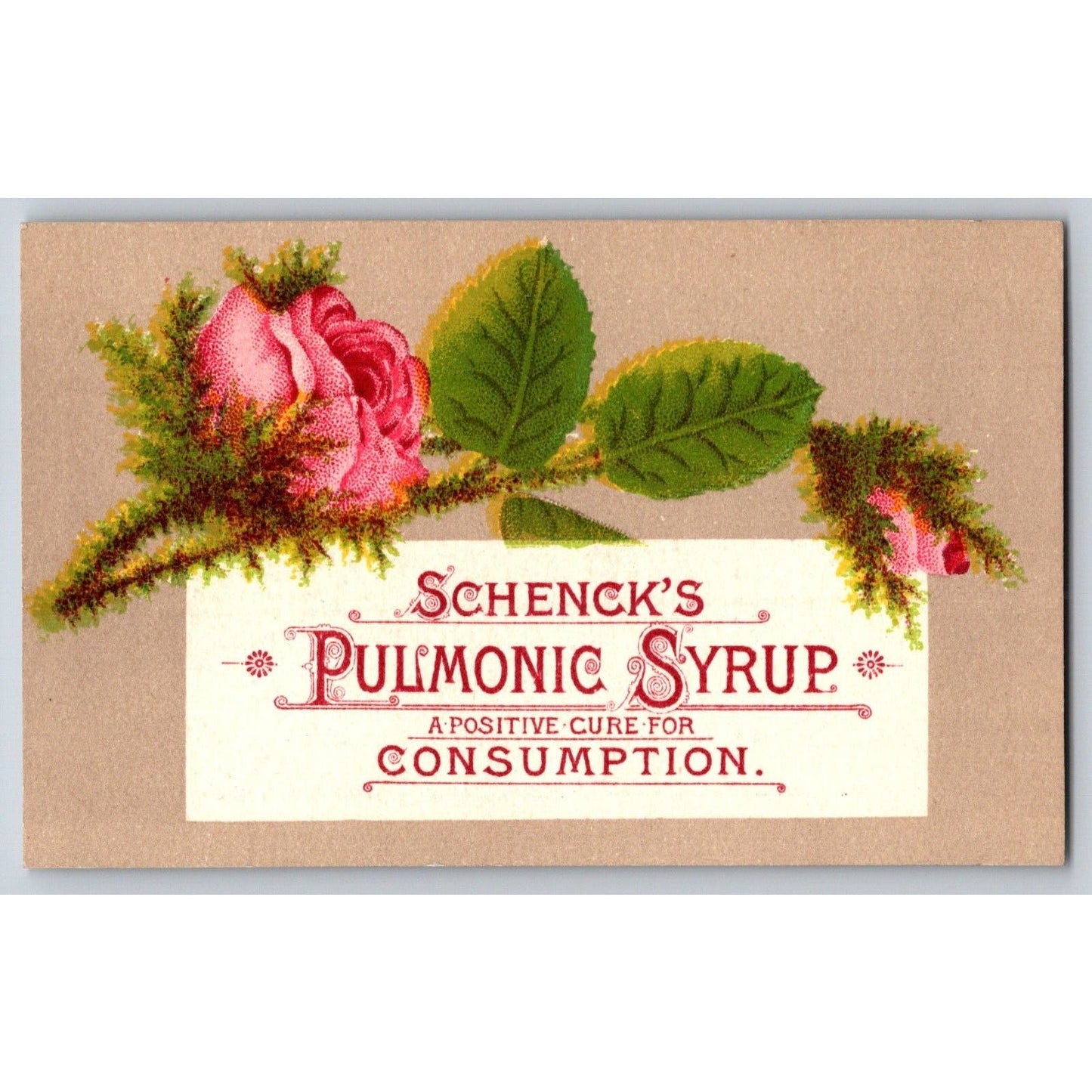 Schenck's Pulmonic Syrup Philadelphia Victorian Trade Card - Consumption