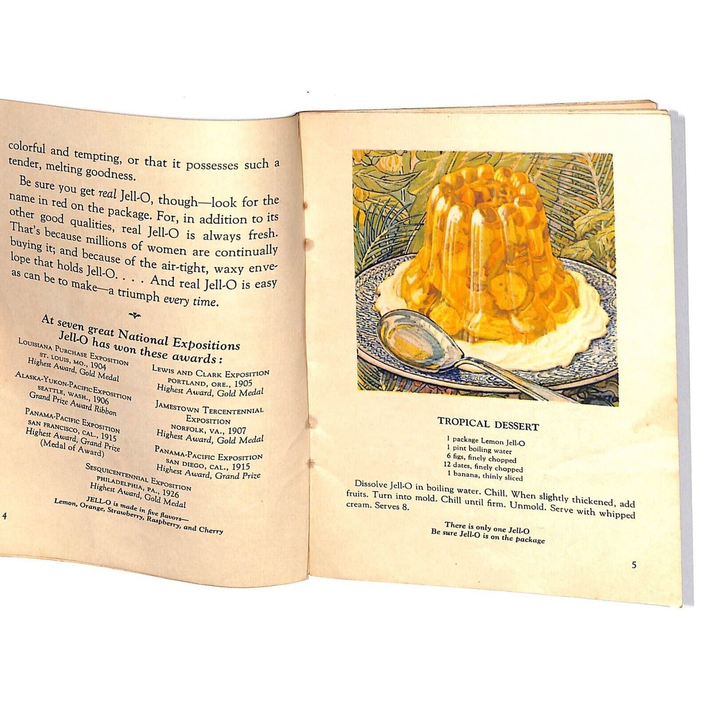 Jell-O Recipe Booklet "...what Salad..what dessert?" c1928 22pp