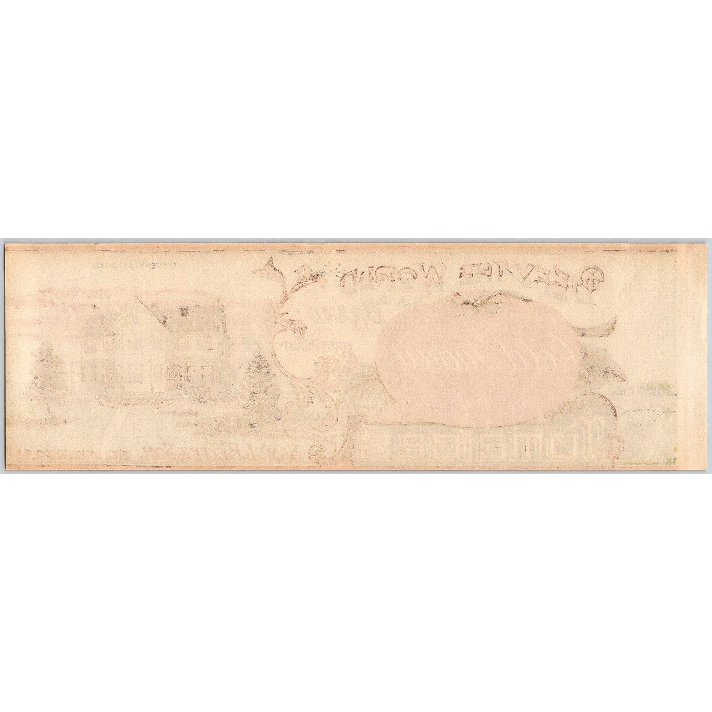 "Defy the World" Tomatoes Paper Can Label Samuel L. Kelty & Son c1920's-30's VGC