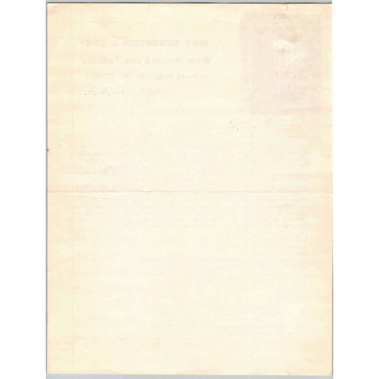 Max Bernstein & Son 1913 Philadelphia, PA Letterhead Wool Pullers and Tanners