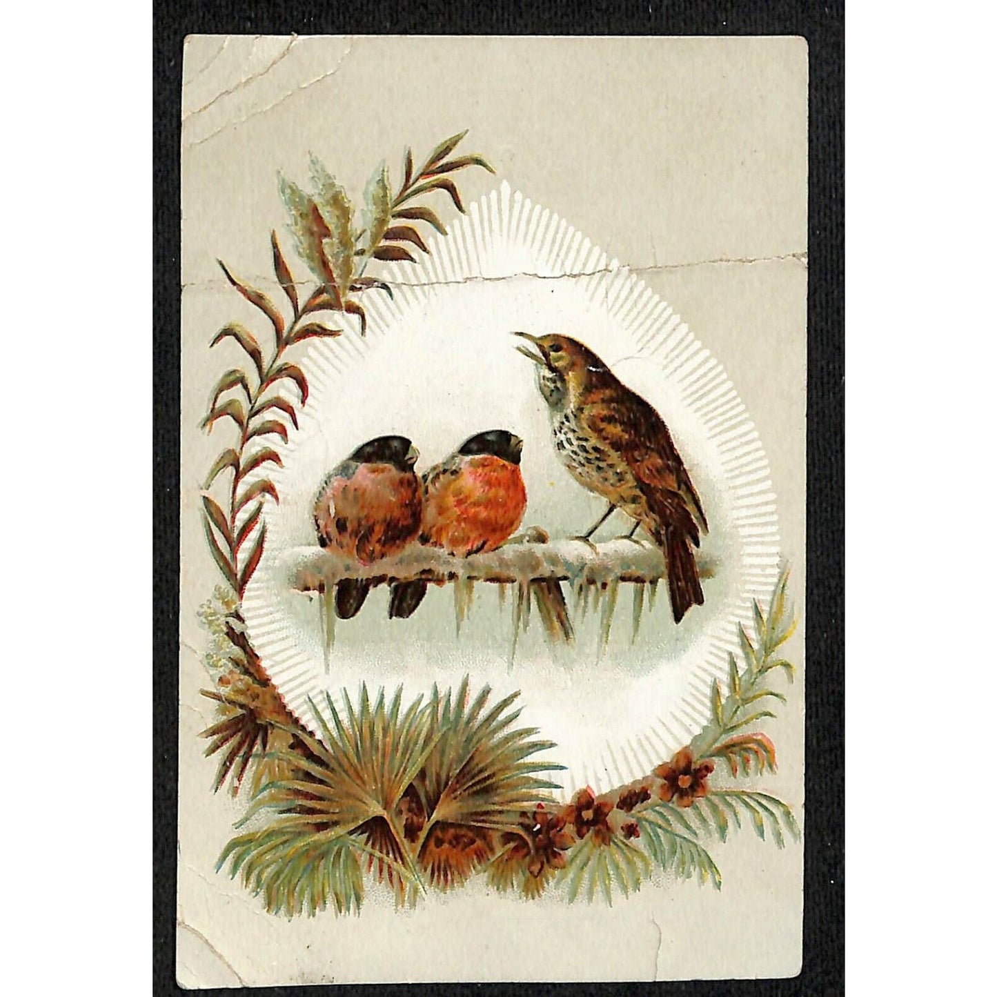 c1880's-90's Victorian Trade Card Columbian Joy Range Eshleman & Wolf Bloomsburg