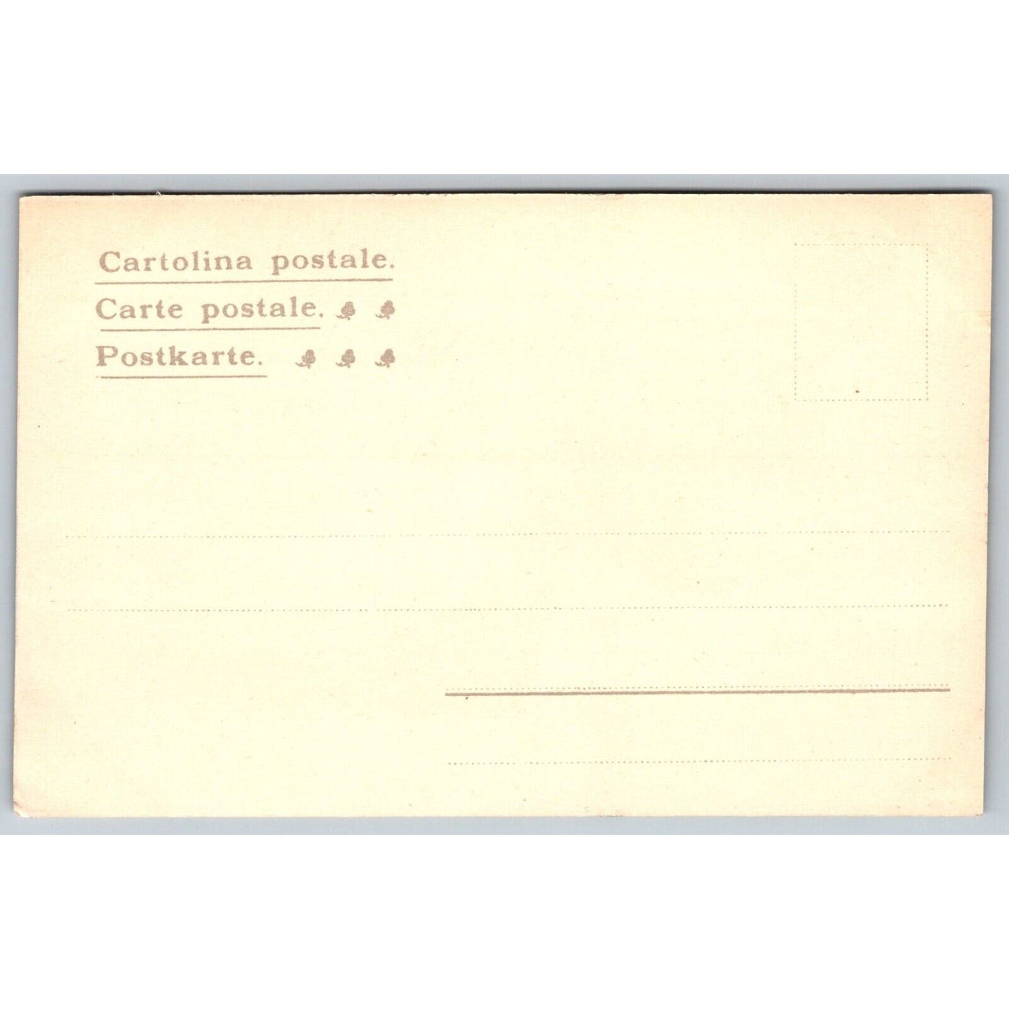 Italian Postcard Naples Via Caracciolo View of Vesuvius Seashore c1901-1907 NP