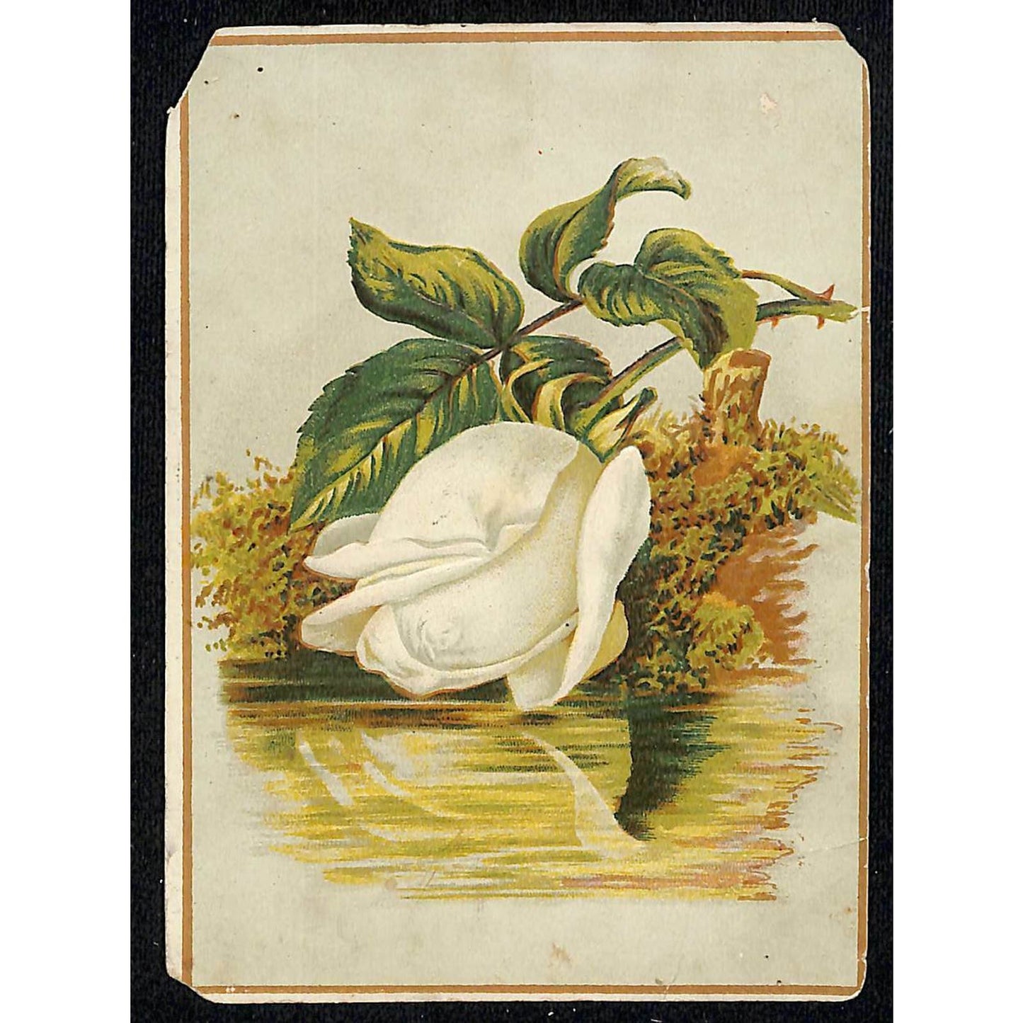 1880-90's Victorian Trade Card Willett's & Quinby Coffee Philadelphia, PA