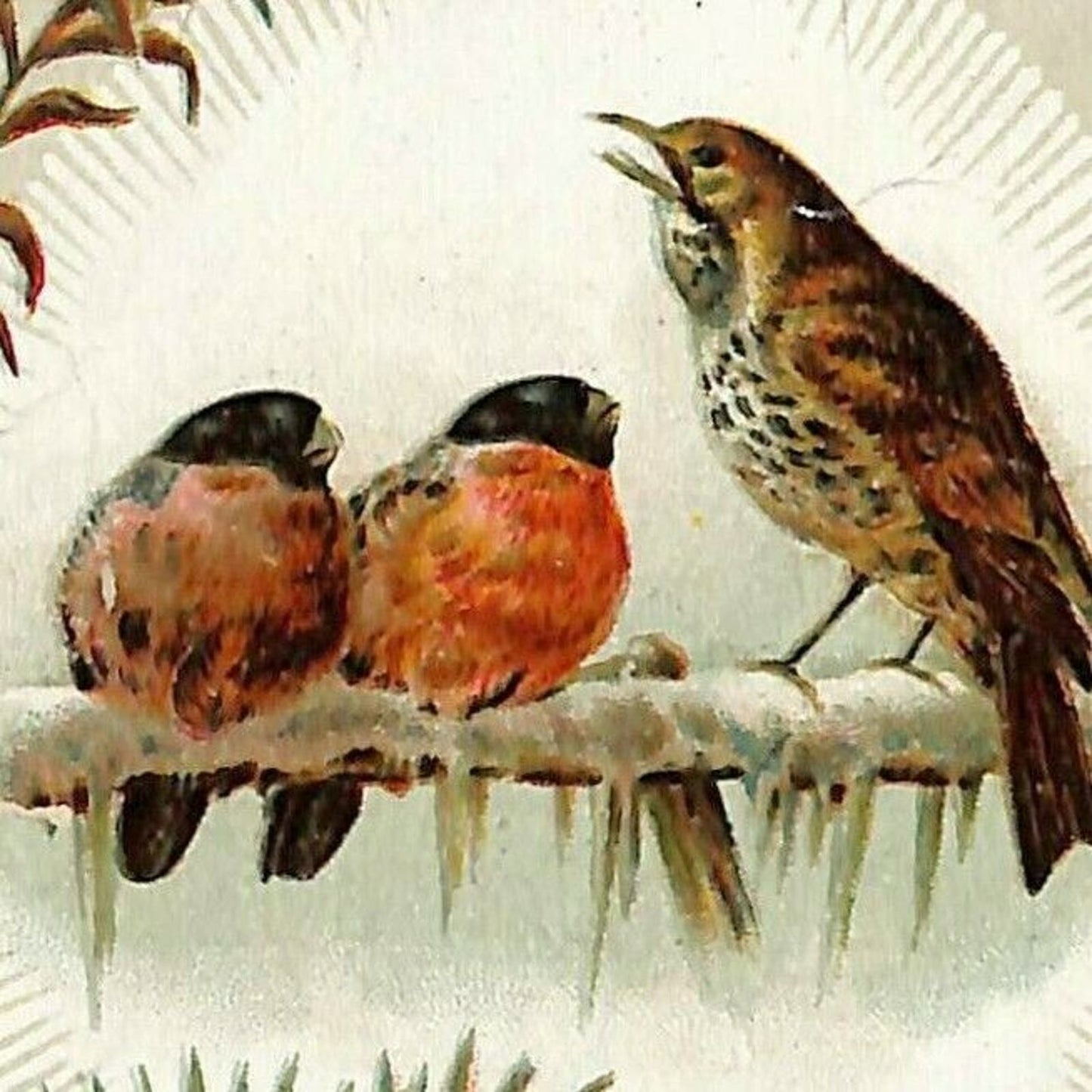 c1880's-90's Victorian Trade Card Columbian Joy Range Eshleman & Wolf Bloomsburg