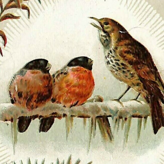 c1880's-90's Victorian Trade Card Columbian Joy Range Eshleman & Wolf Bloomsburg