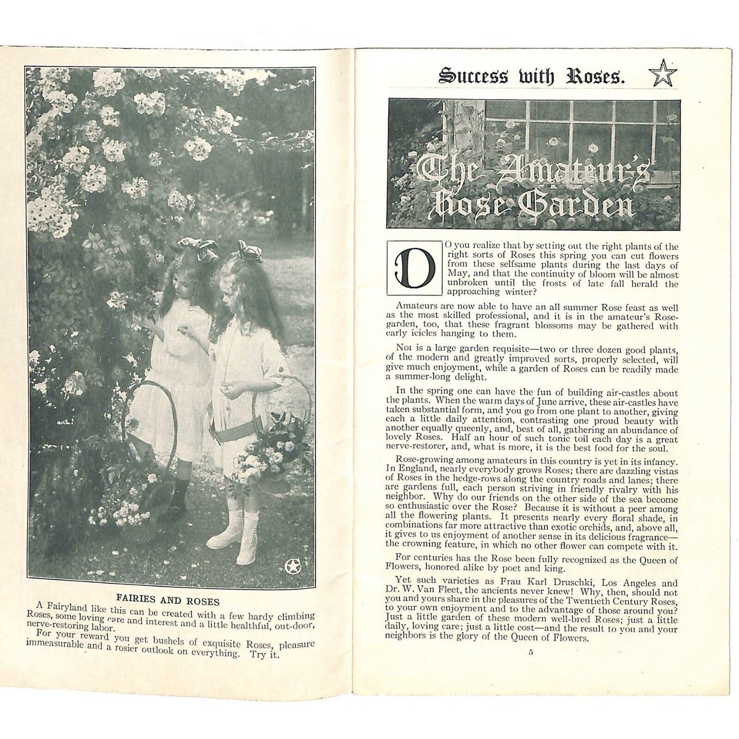 "Success With Roses" Conrad & Jones Roses West Groove, PA 1920 34pp VGC