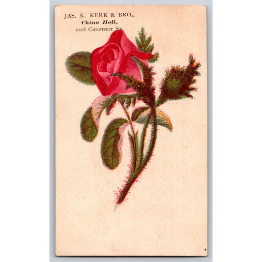Jas. K. Kerr & Bro. China Hall (Philadelphia) Victorian Trade Card Red Rose