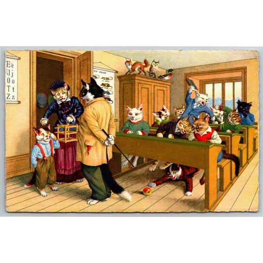 Naughty Cats in Classroom w/ Teacher & Missing Bird - Vintage Postcard c1973