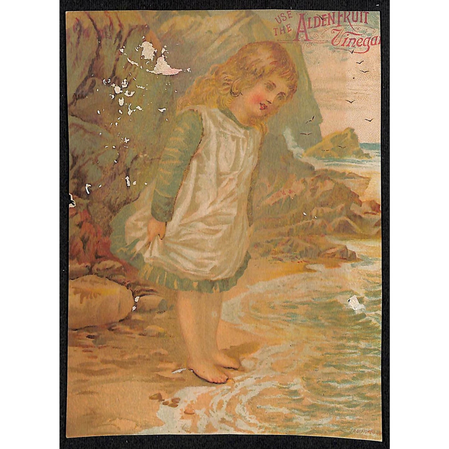 1880-90's Victorian Trade Card - J.C. O'Donnell General Merchandise Hyde Park PA