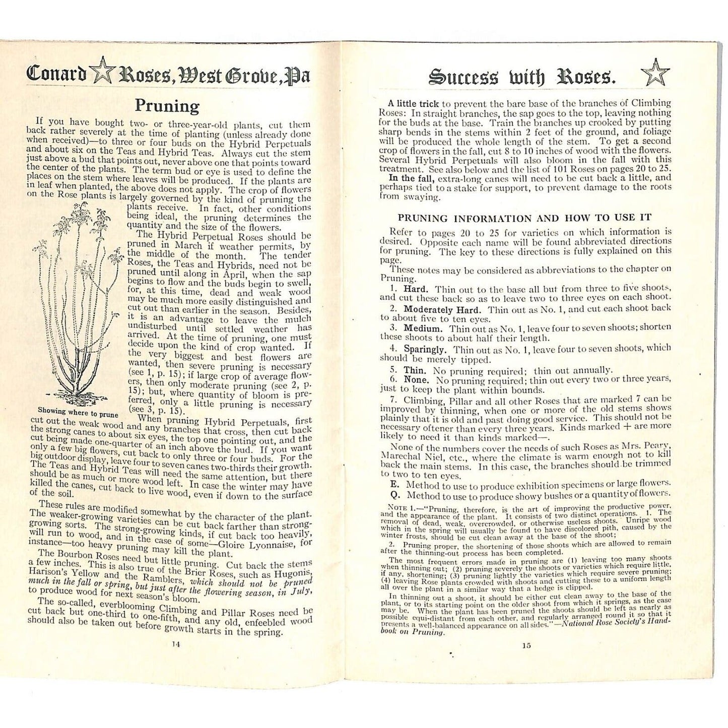 "Success With Roses" Conrad & Jones Roses West Groove, PA 1920 34pp VGC
