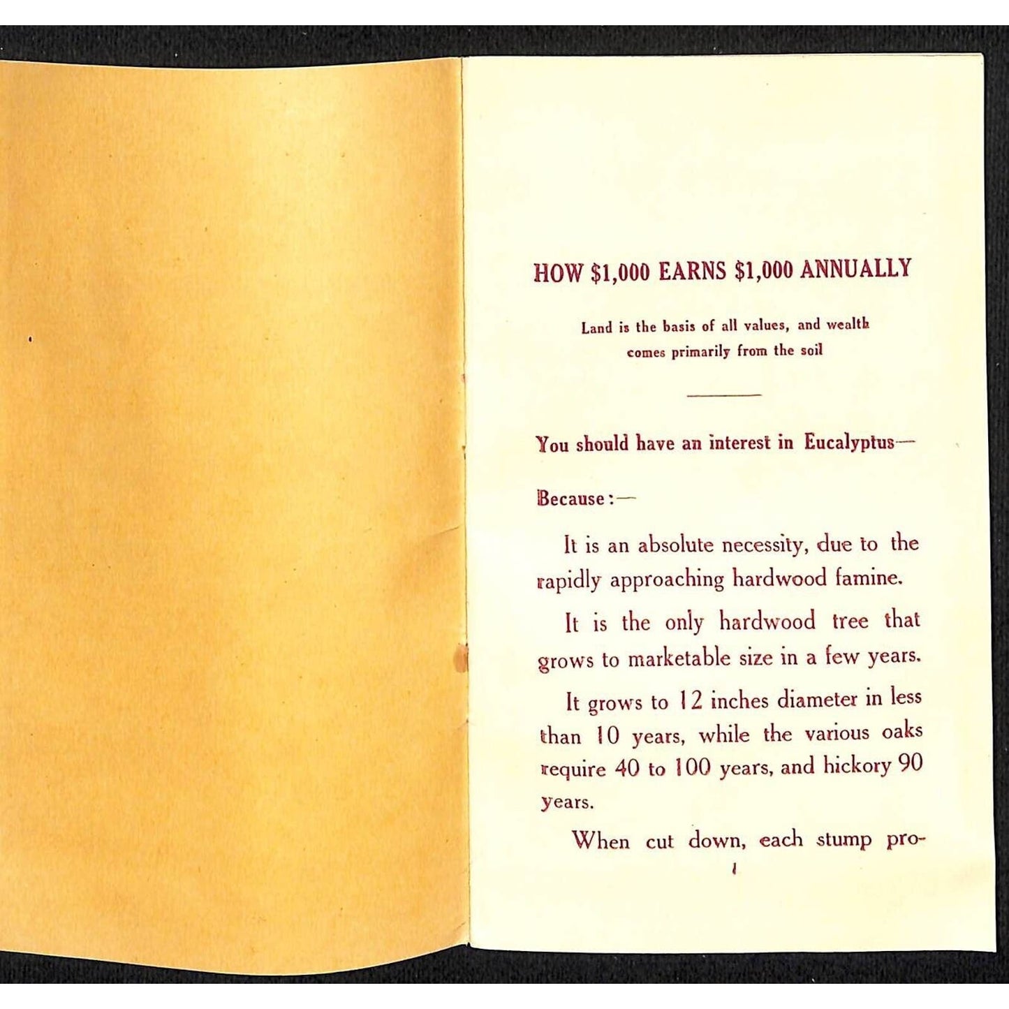 New York, NY Bunn, Lent & Co. 1910 Investments Letterhead & Booklet VGC