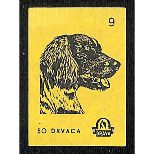 Vintage Yugoslavia Matchbox Label Drvaca Dog Breed Series #9 VGC c1960's