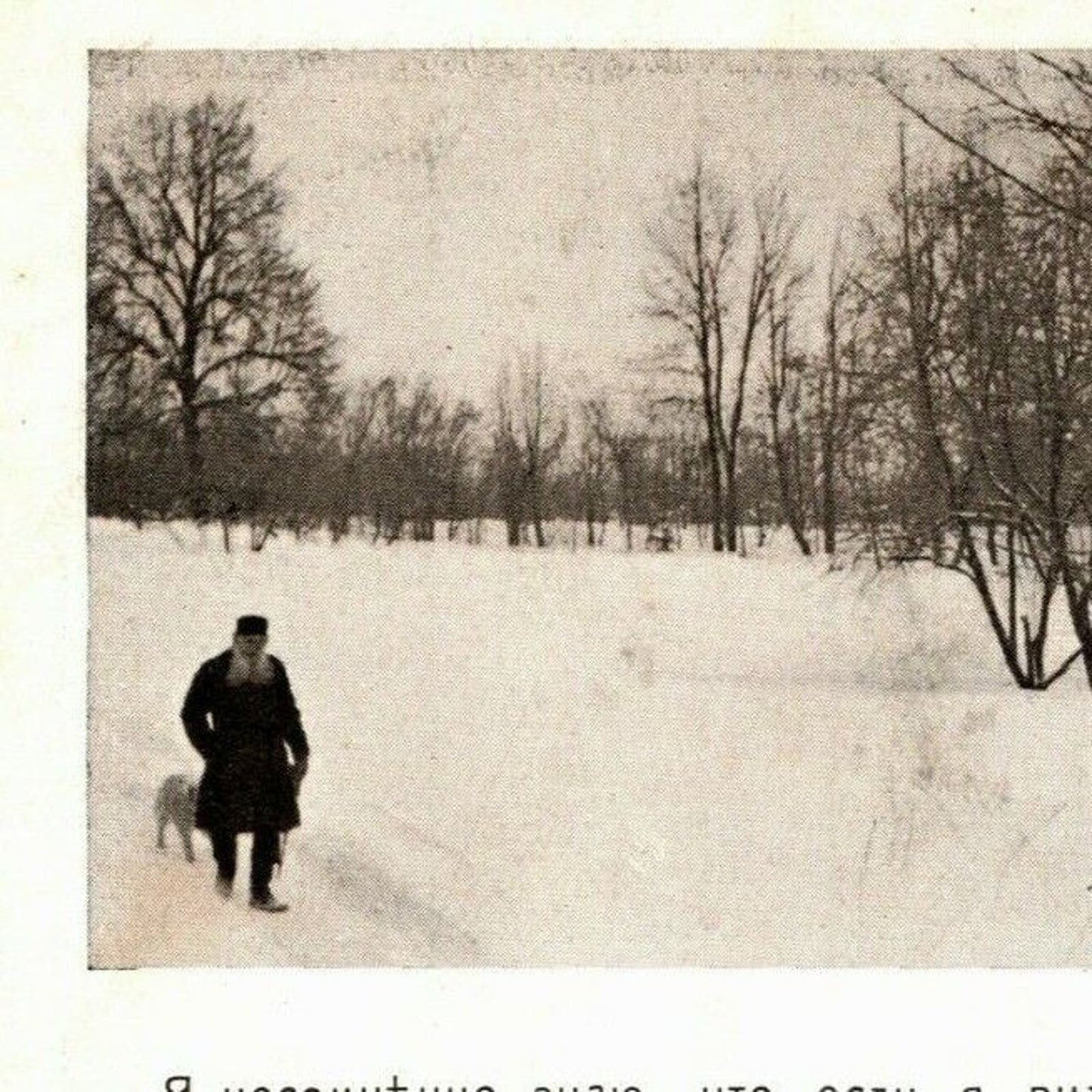 c1911 Vintage Russian Art Postcard Tolstoy "..In the Field Of Vision.." Chertkov