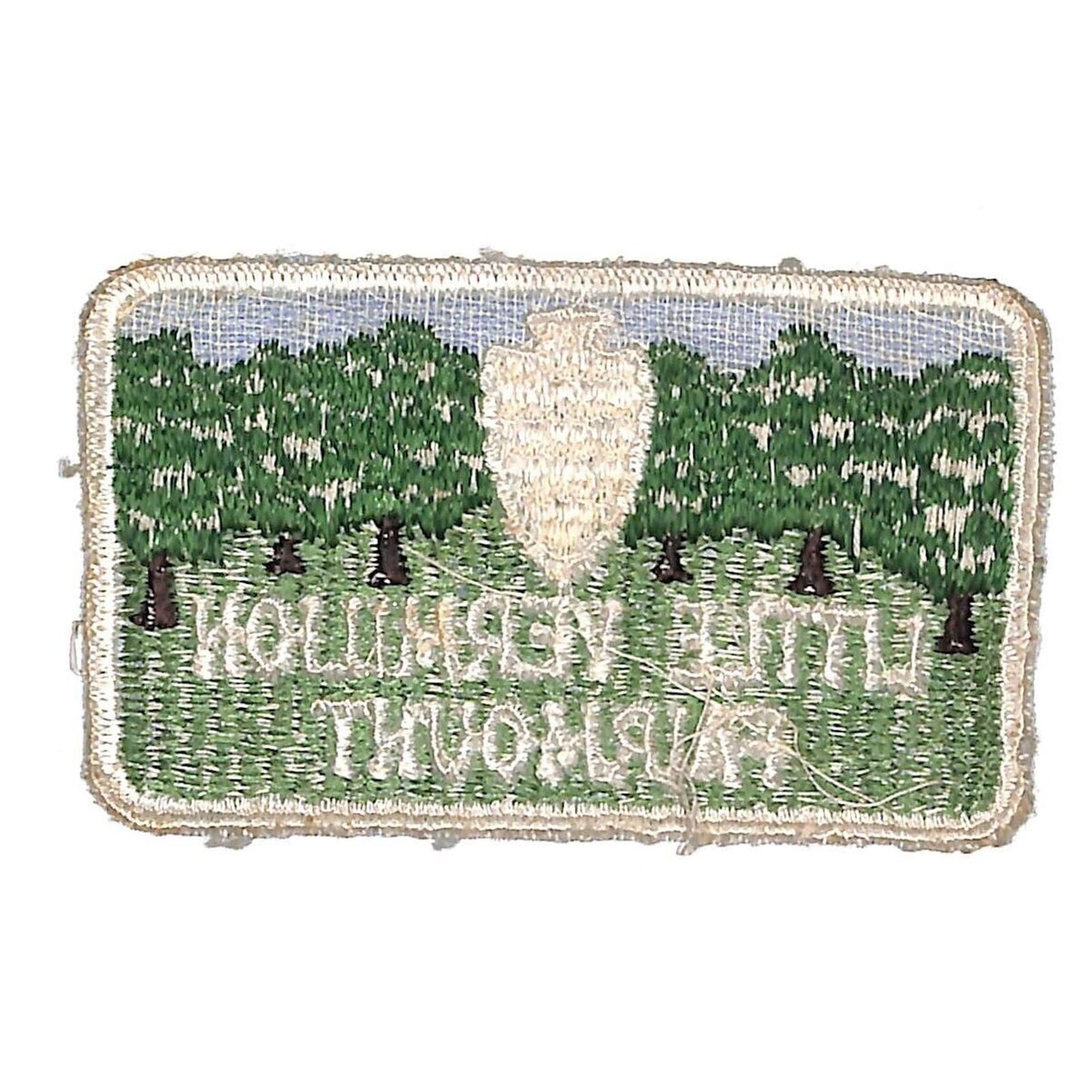 BSA Patch Little Vermilion Fairmount c1956 Piankeshaw District Arrowhead VGC
