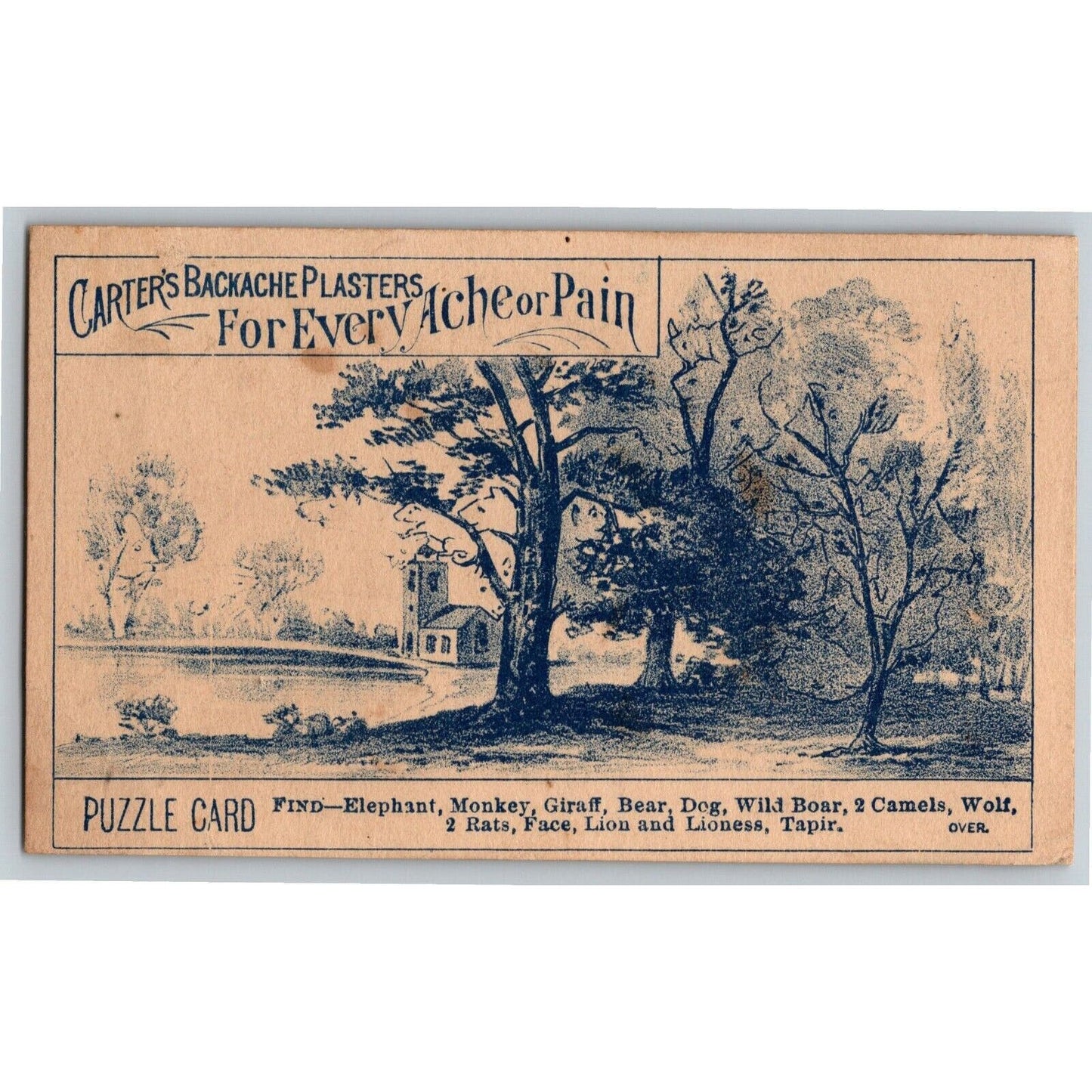 Carter's Backache Plasters Outdoor Find Animal Puzzle Game Victorian Trade Card