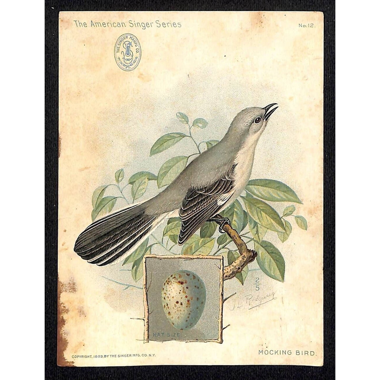 Singer Sewing American Songbird Mocking Bird w/ Egg Trade Card c1900