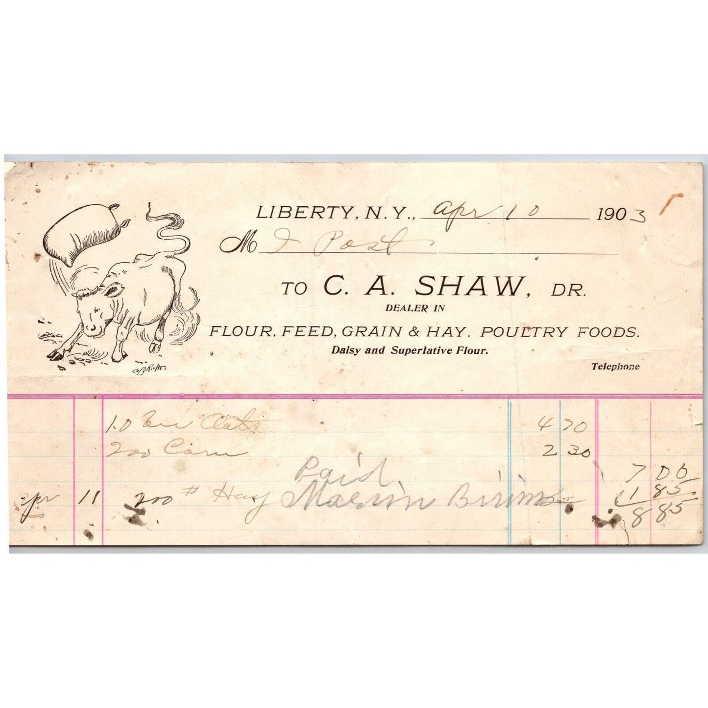 Liberty, NY C.A. Shaw Flour Feed April 1903 Billhead w/ Angry Cow Illustration