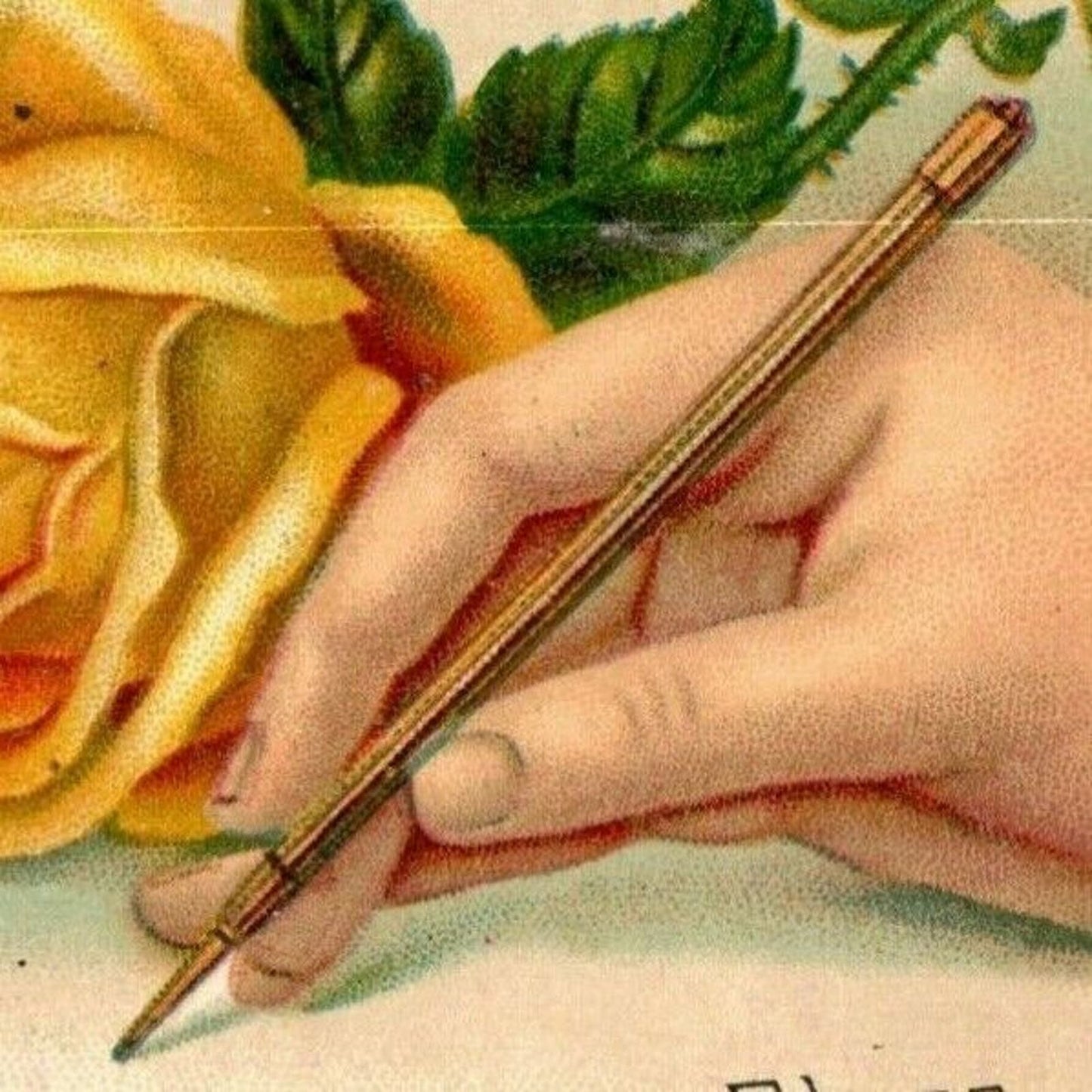 Victorian Trade Card Button's Raven Gloss Shoe Dressing E. E. Carll Brockton, MA