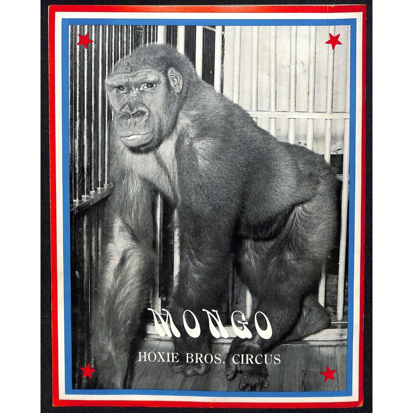Vintage 1976 Hoxie Bros. Circus Souvenir Program 14pp. w/ Mongo Bigfoot Gorilla