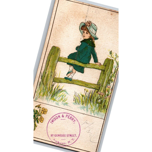 Ivison & Perry Auburn, NY "Carleton Series of Juveniles" Victorian Trade Card
