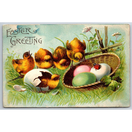 Easter Postcard Chicks Watch as Baby Chicks Hatch Eggs PM c1919