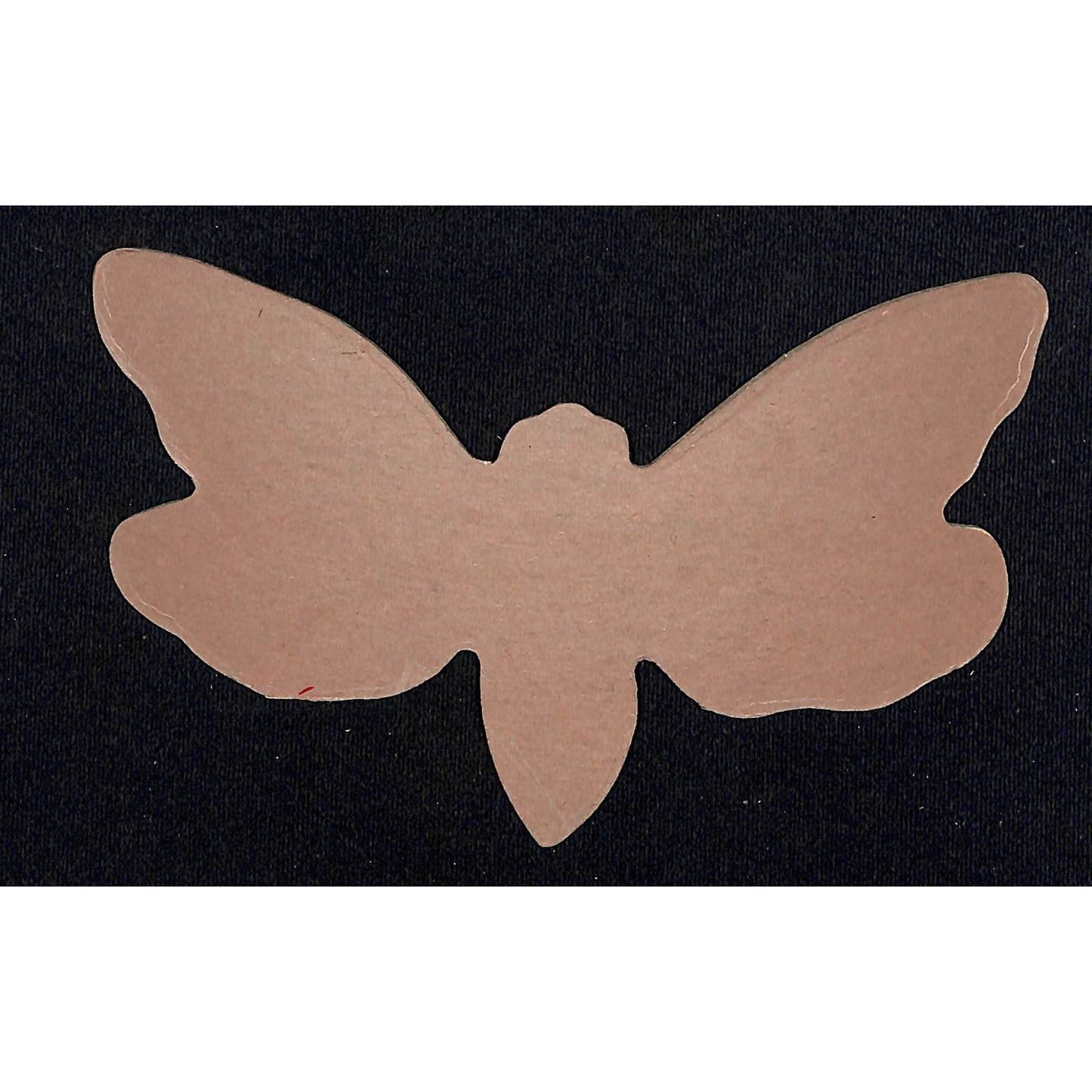 Butterfly Die Cut Ornament Stiff Cardboard Circa Early 1900's NOS VGC