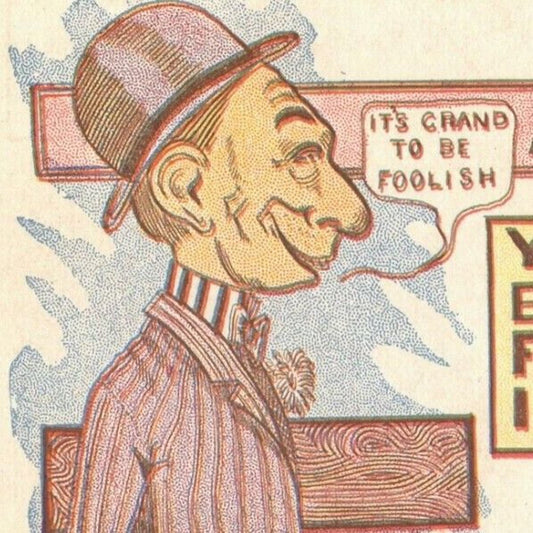 "A Bug From the Loon Factory" c1905 Undivided Unposted Comic Humor Postcard