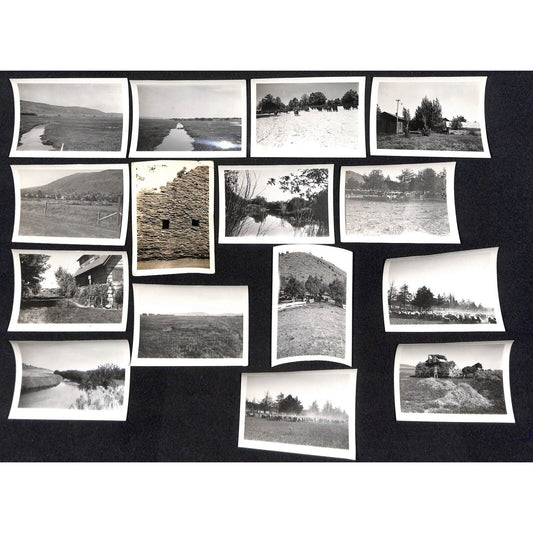 Group of 15 B&W Farming Photos w/ Horse Drawn Trailer 2 3/8" x 3 1/2"