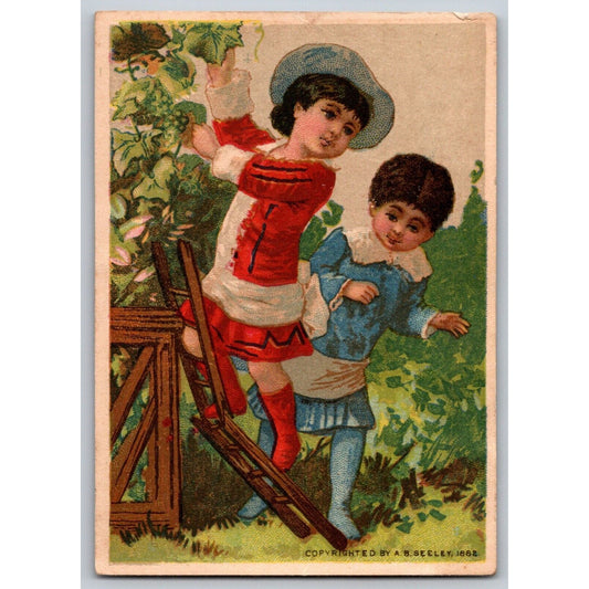 1882 Blank / Sample Victorian Trade Card Kids Break Ladder Picking Fruit