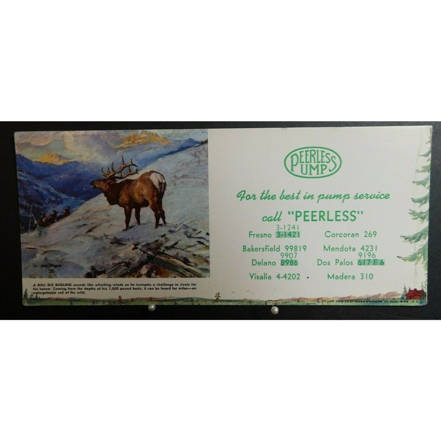1940's - 1950's Ink Blotter Advertising - Peerless Pump Service California - Elk