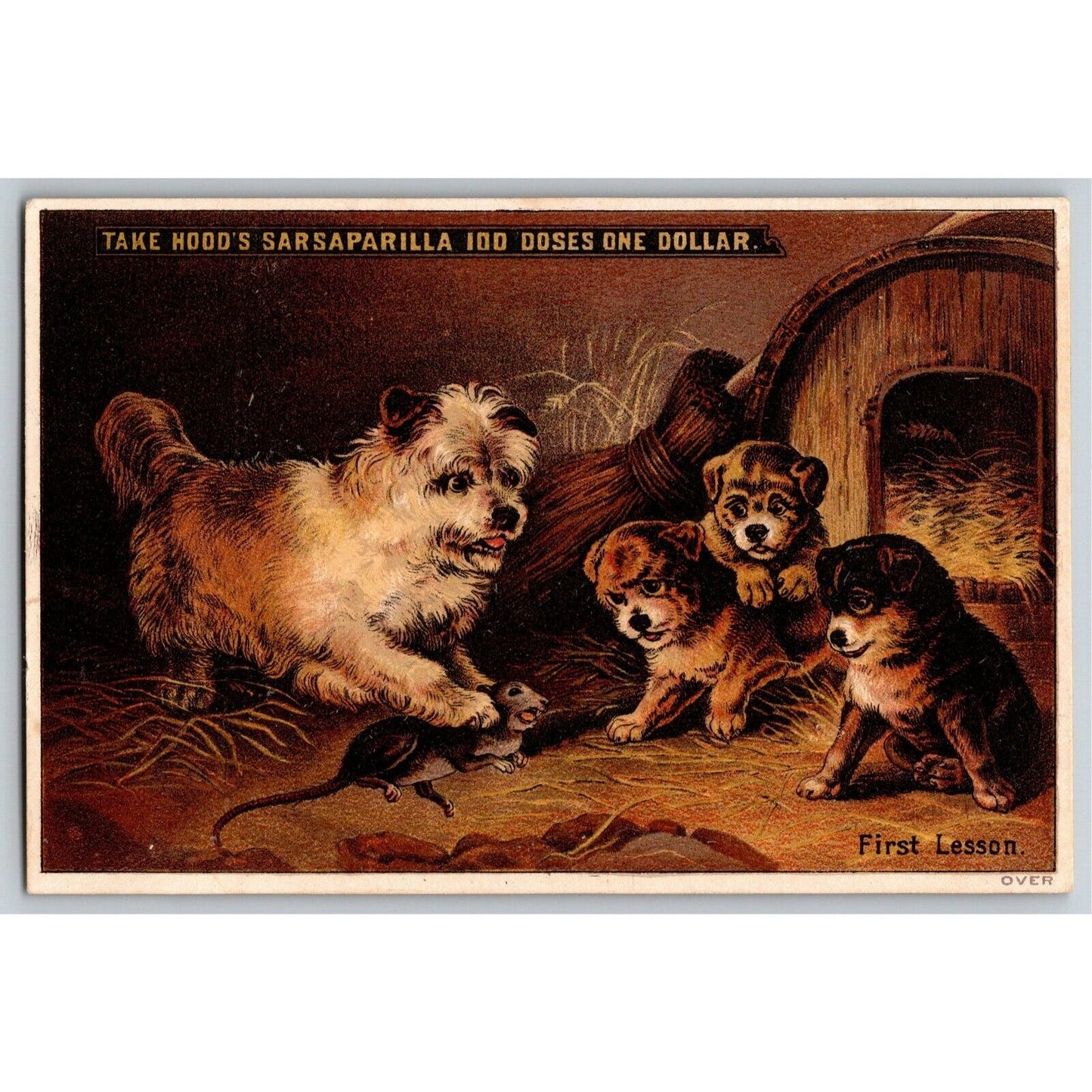 Hood's Sarsaparilla "100 Doses for $1" Dog Puppies w/ Rat Victorian Trade Card